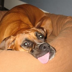 Ahhh...bedtime