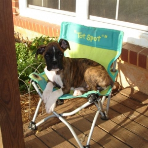 Arwen (3 months)