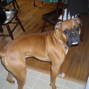 rocky_3