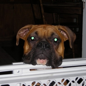 rocky_1