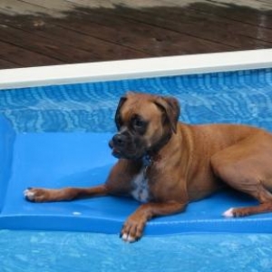 Taking it Easy
