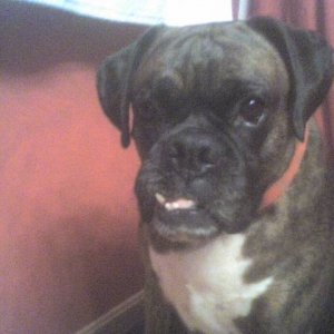 Pretty face:)
