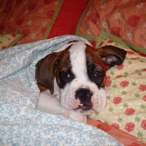 In my bed of course :)