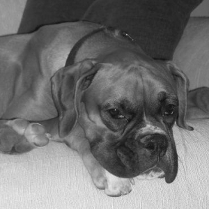 DSCN0267