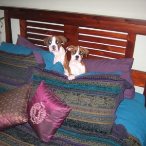 Hiding in Mum & Dad's Bed