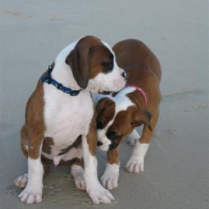 At the beach @ 12 weeks