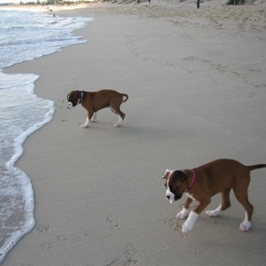 Chasing waves!!