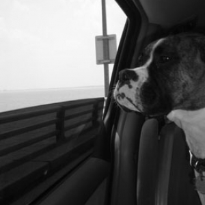 Chesapeake Bay Bridge