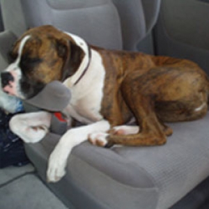 Worn out from Vacation