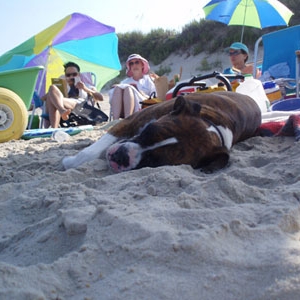 Sleeping on the Beach