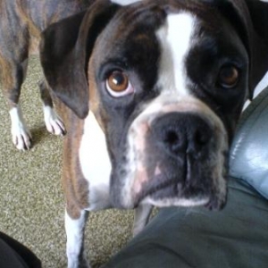 How can you say no!