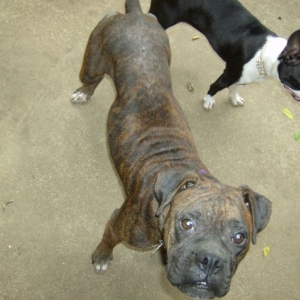 Roxy and Minnie