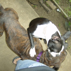 Roxy and Minnie
