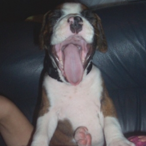 Yawning..as usual!