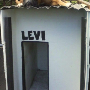 kennel