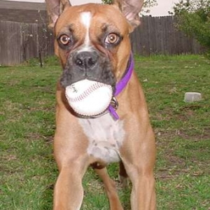 play_ball