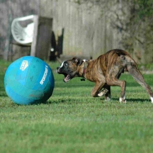 bad_ball