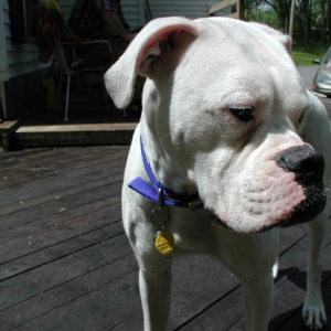 spanky_005