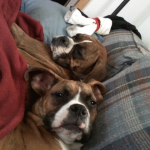 couch9