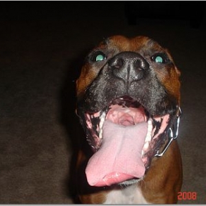 cash_1