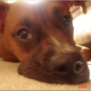 cash_0308
