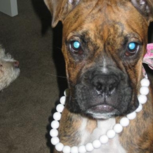 jayden_n_neckles