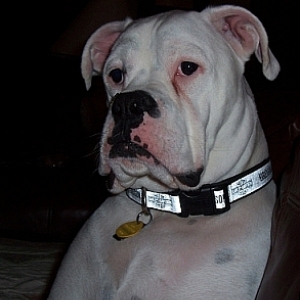 Harley_May_2008_006