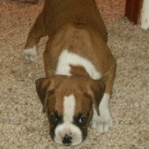 Riley-5wks