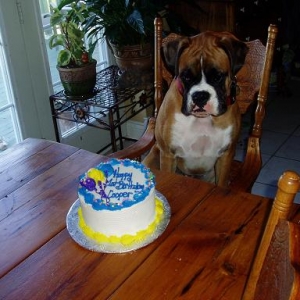 Cooper_and_his_cake