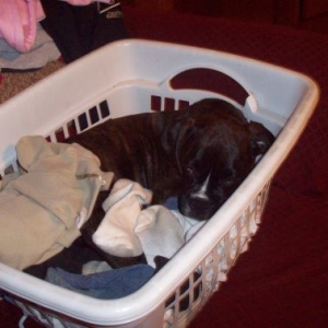 laundry