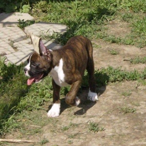 aiden_first_day