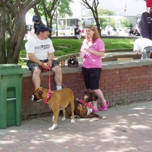 woofstock_3