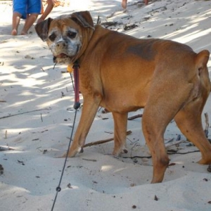 What_-_sand_tastes_good_