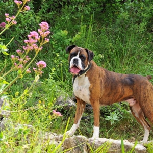 GWY_2633