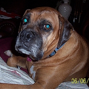 Roxi_June_2008