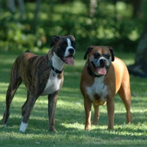 My_kids