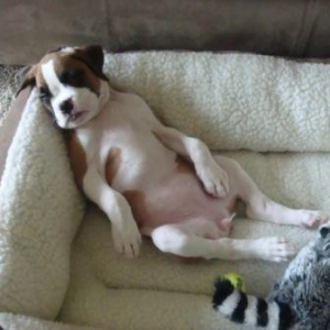 Lucy_and_randoms_144