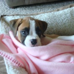 Lucy_and_randoms_156