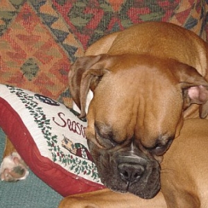 sleepybaby
