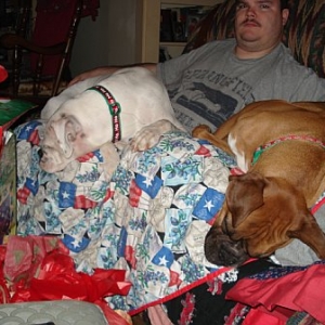 pooped
