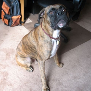 Aasha_sitting_