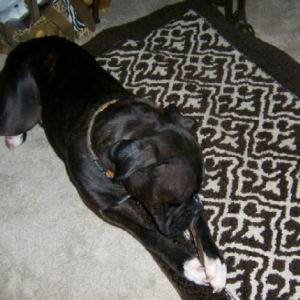 bentley_82