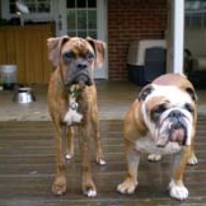 brothers