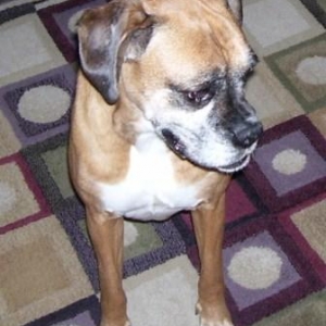 Molly