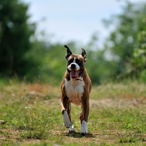 GWY_3327