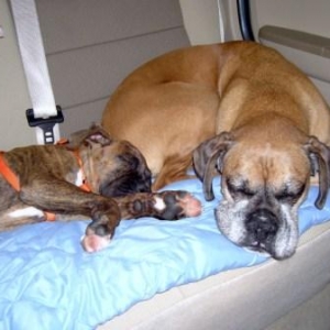 Molly & Cooper