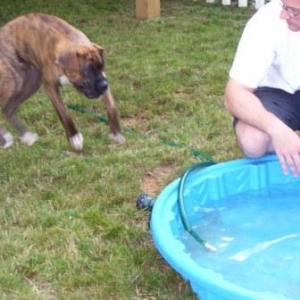 Cooper being splashed