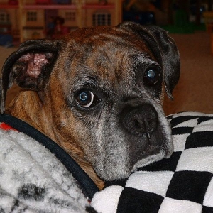 Pretty Girl 7-2008