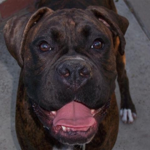 Syd_28_Months_Old