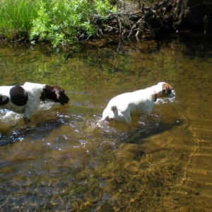 Hunter and Annabelle in the water